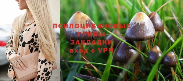 мяу мяу мука Алексеевка