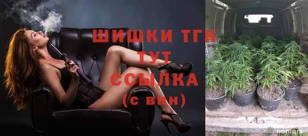 соль курить ск Алзамай